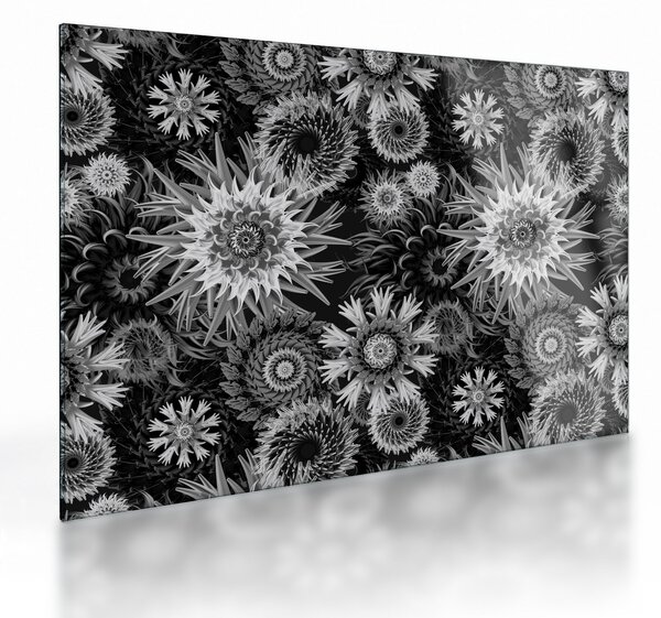 Üveg kép - Fekete és fehér gyűszűvirág (70x50 cm)
