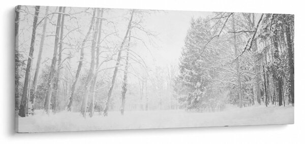 Kép - Fából készült móló télen (120x50 cm)