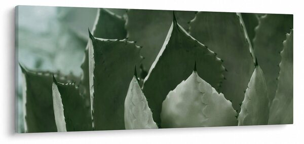 Kép - Zöld agávé (120x50 cm)