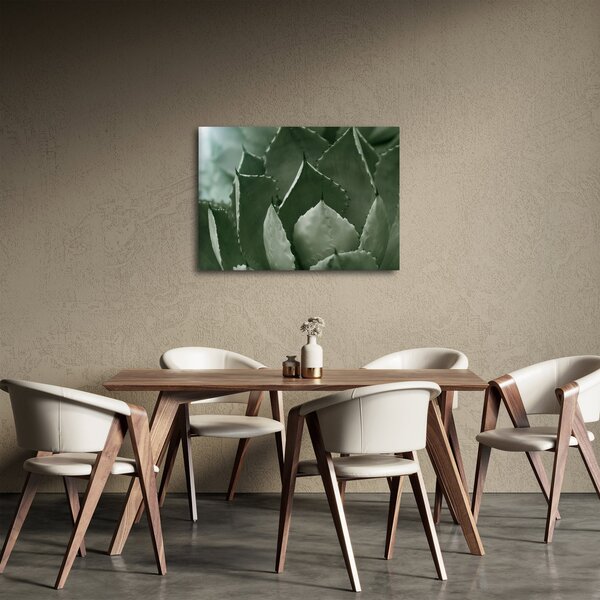Kép - Zöld agávé (70x50 cm)