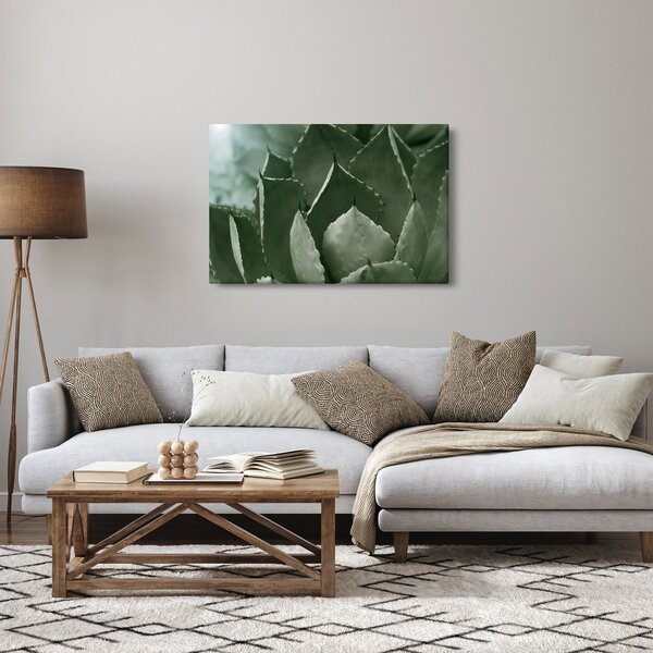 Kép - Zöld agávé (90x60 cm)