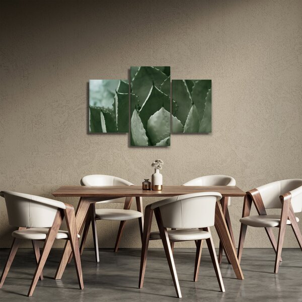 Kép - Zöld agávé (90x60 cm)