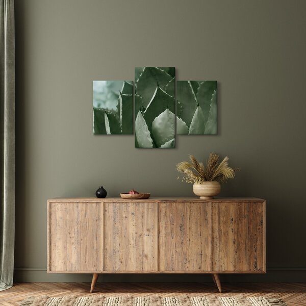 Kép - Zöld agávé (90x60 cm)
