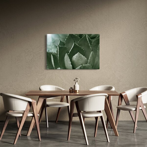 Kép - Zöld agávé (90x60 cm)