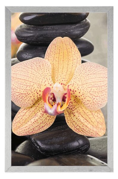 Poszter sárga orchidea és Zen kövek