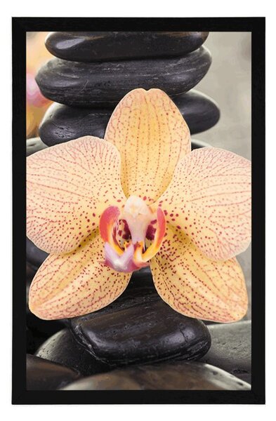 Poszter sárga orchidea és Zen kövek