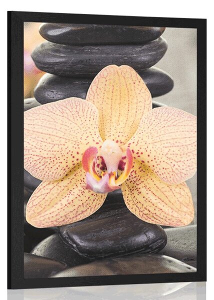 Poszter sárga orchidea és Zen kövek