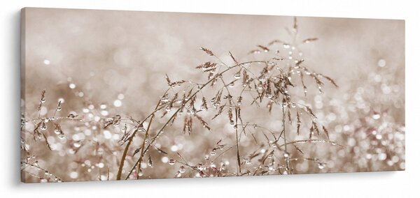 Kép - rét barna árnyalatokban (120x50 cm)