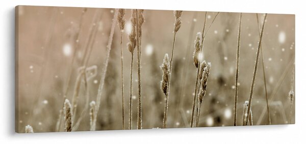 Kép - Harmonikus rét (120x50 cm)