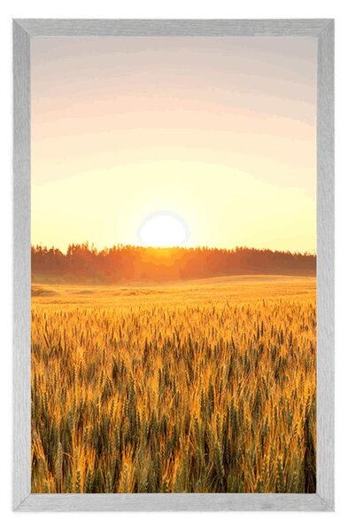 Poszter naplemente a mező felett
