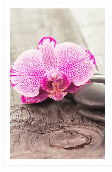 Poszter paszportuval orchidea és Zen kövek fa háttéren