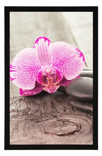 Poszter paszportuval orchidea és Zen kövek fa háttéren