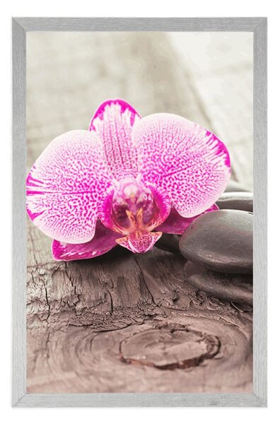 Poszter paszportuval orchidea és Zen kövek fa háttéren
