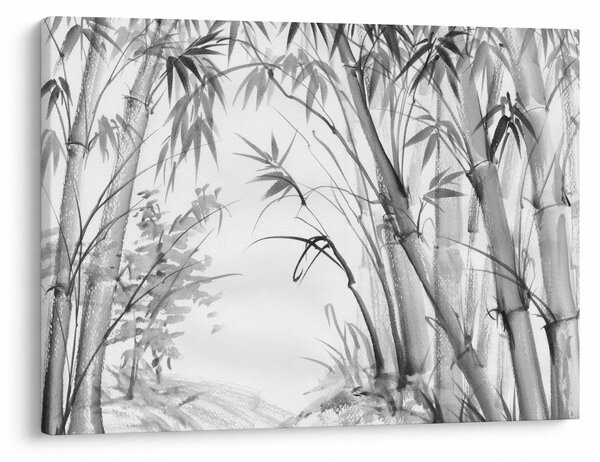 Kép - Bambusz erdő (70x50 cm)