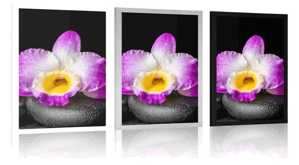 Poszter paszportuval lila orchidea Zen kövön