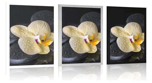 Poszter Zen kövek sárga orchideával
