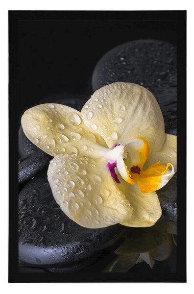 Poszter Zen kövek sárga orchideával
