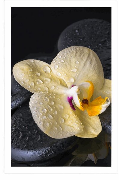 Poszter Zen kövek sárga orchideával