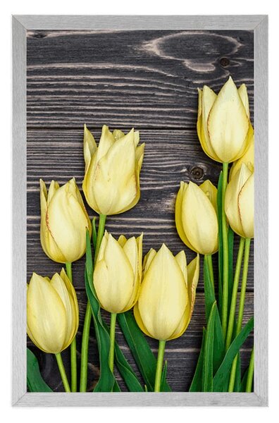 Poszter sárga tulipánok fa háttéren