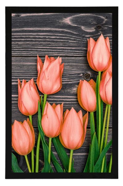Poszter narancssárga tulipánok fa háttéren