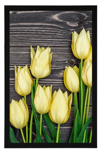 Poszter sárga tulipánok fa háttéren