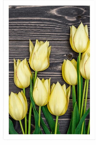 Poszter sárga tulipánok fa háttéren