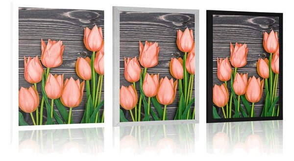 Poszter narancssárga tulipánok fa háttéren