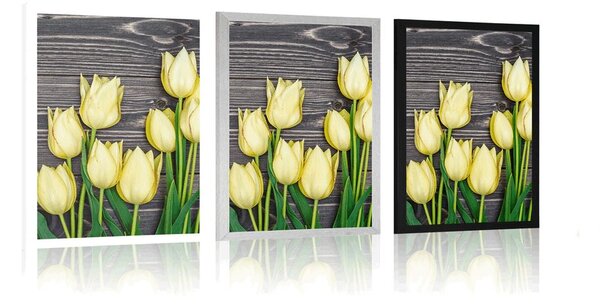 Poszter sárga tulipánok fa háttéren