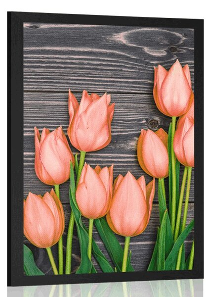 Poszter narancssárga tulipánok fa háttéren - 40x60 silver