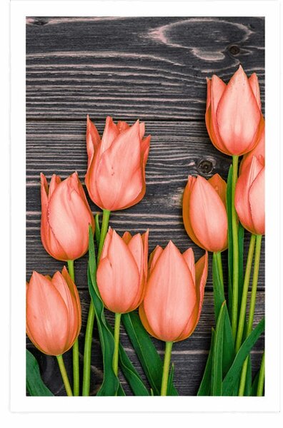 Poszter narancssárga tulipánok fa háttéren