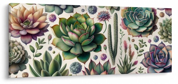 Kép - Pozsgás növények (120x50 cm)