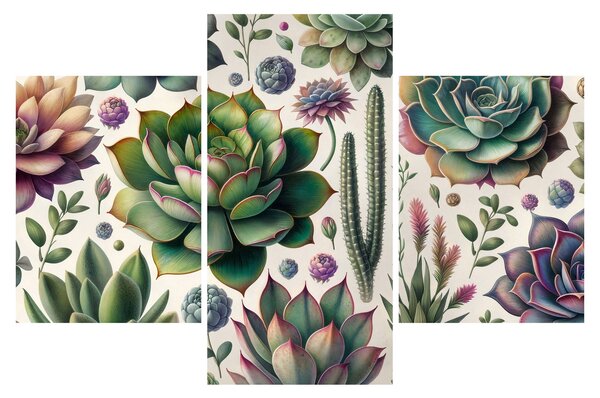 Kép - Pozsgás növények (90x60 cm)