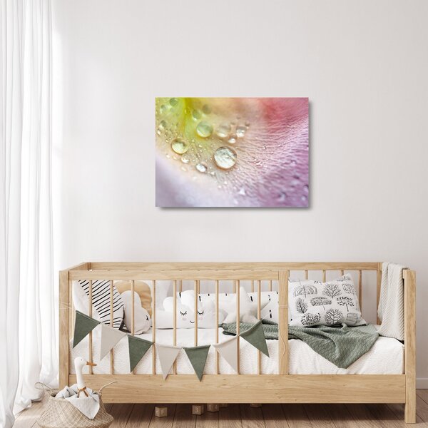 Üveg kép - Harmatcseppek (70x50 cm)