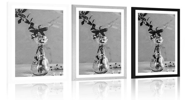 Poszter paszportuval cseresznye fa ág vázában fekete fehérben