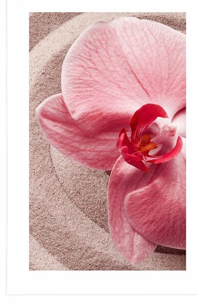 Poszter paszportuval tengeri homok és rózsaszín orchidea