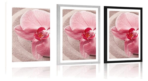 Poszter paszportuval tengeri homok és rózsaszín orchidea