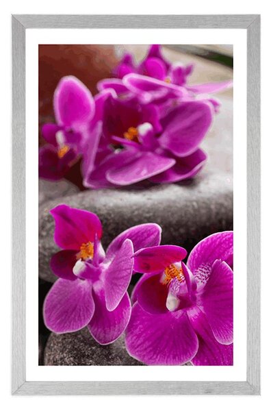 Poszter paszportuval csodás orchidea Zen kövekkel