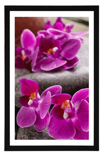 Poszter paszportuval csodás orchidea Zen kövekkel