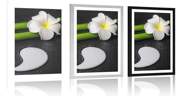Poszter paszportuval Spa csendélet Yin és Yang szimbólummal