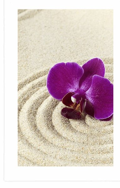 Poszter paszportuval homokos Zen kert lila orchideával