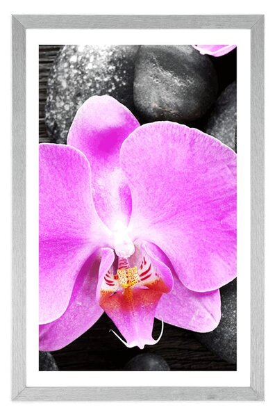 Poszter paszportuval csodás orchiddea és kövek