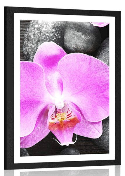Poszter paszportuval csodás orchiddea és kövek