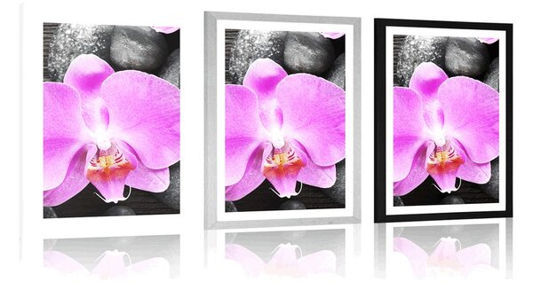 Poszter paszportuval csodás orchiddea és kövek