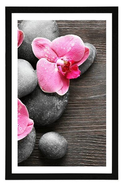 Poszter paszportuval elegáns kompozíció orchidea virágokkal