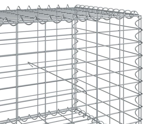 Horganyzott vas gabion kosár fedéllel 300 x 100 x 50 cm