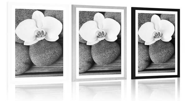 Poszter paszportuval wellness kövek és orchidea fekete fehérben