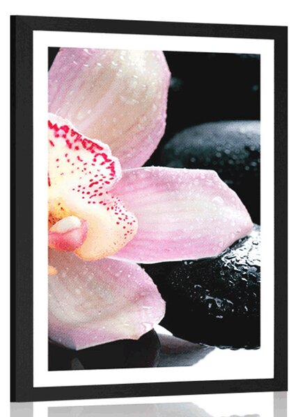 Poszter paszportuval exotikus orchidea