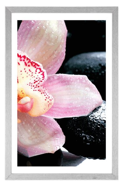 Poszter paszportuval exotikus orchidea