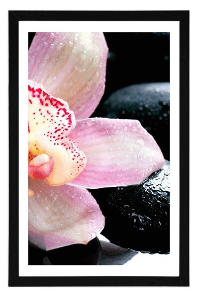 Poszter paszportuval exotikus orchidea