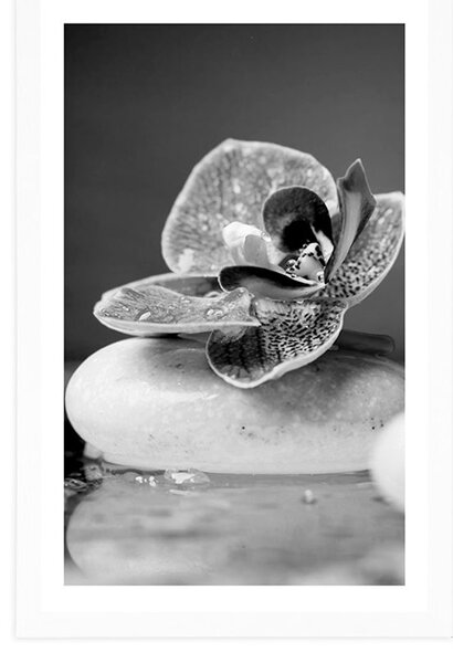 Poszter paszpotuval orchidea és Zen kövek fekete-fehérben
